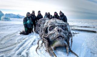 谁发现了南极洲 谁发现了南极洲