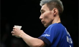 2015羽毛球世锦赛冠军 2015羽毛球世锦赛冠军